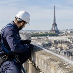 Pourquoi faire appel à un spécialiste du dépigeonnage à paris